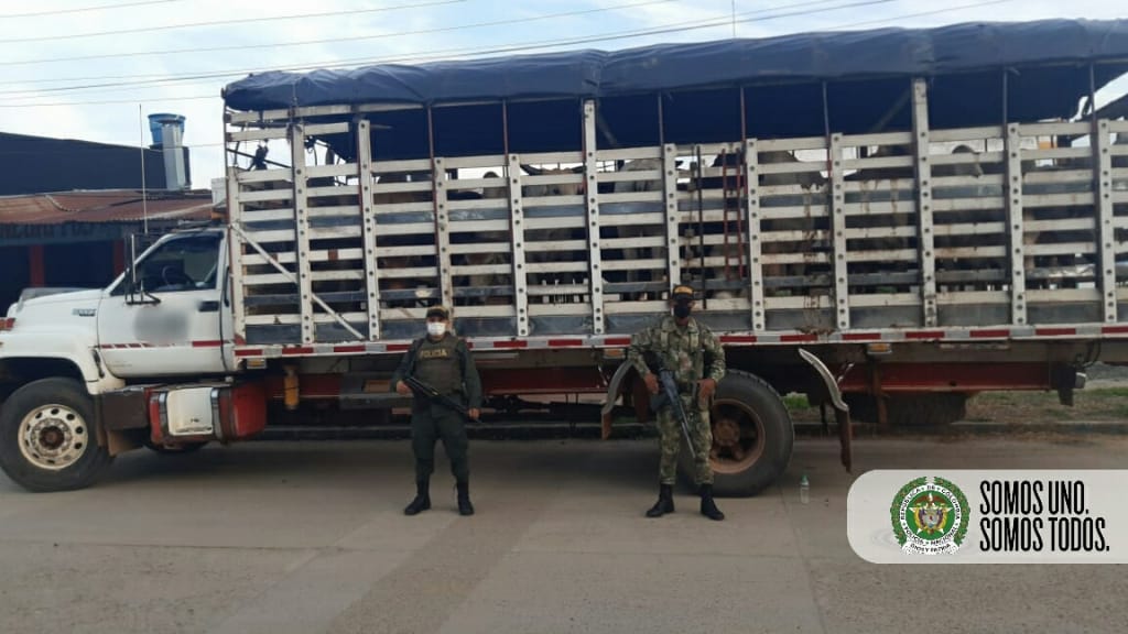 Ofensiva-regional-contra-el-abigeato-permitió-la-incautación-de-126-bovinos-de-dudosa-procedencia-en-el-Departamento-del-Meta3