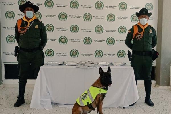 Alucinógeno incautado-policías custodiando