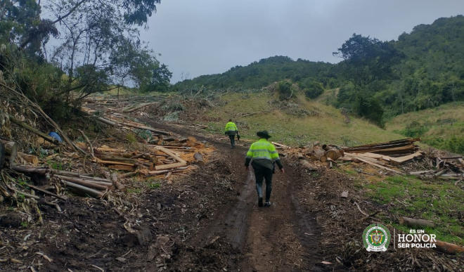 Nueve capturados por deforestación en la Sabana de Bogotá