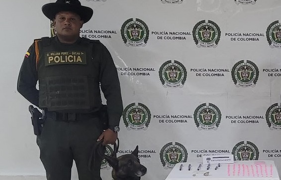 Incautan drogas en terminal de transportes de Ipiales 