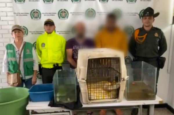 Ofensiva contra las redes dedicadas al tráfico de fauna silvestre y animales exóticos 