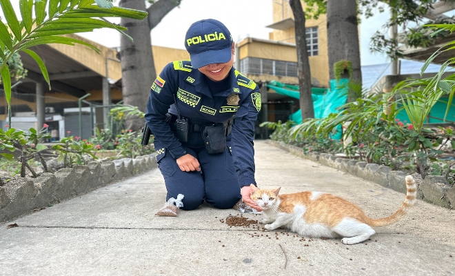 Policía alimentando un gato