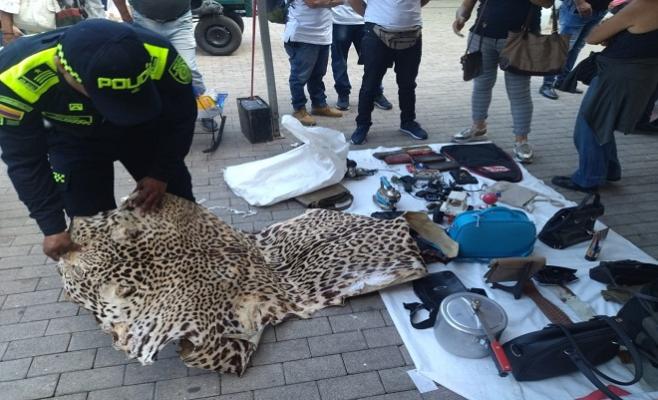 policias incautan piel de jaguar