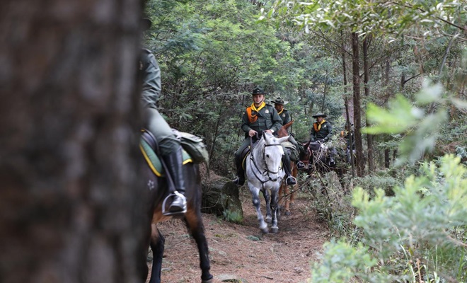 Policias cabalgando los cerros orientales en Bogotá D.C.