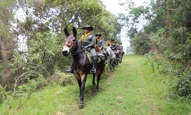 Policías a lomo de mula