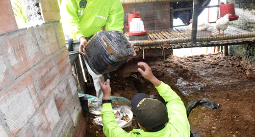No pretendían empollar, ocultaban más de mil kilos de marihuana
