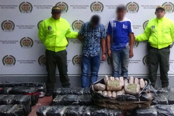 Policía propinó duro golpe a las redes del narcotráfico con la incautación de más de media tonelada de marihuana