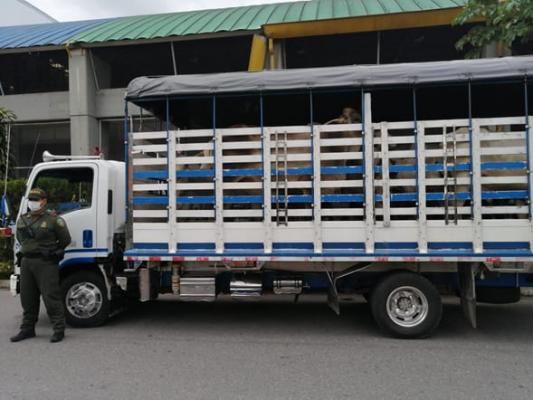 Policía-Meta-fortalece-la-presencia-institucional-en-áreas-urbanas-y-rurales1
