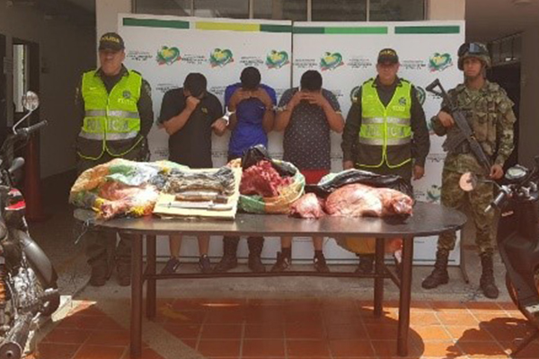 En el procedimiento se incautaron 160 kilos de carne, dos motocicletas y elementos utilizados para el sacrificio
