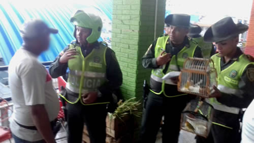  policia-rescata-aves-santa-marta