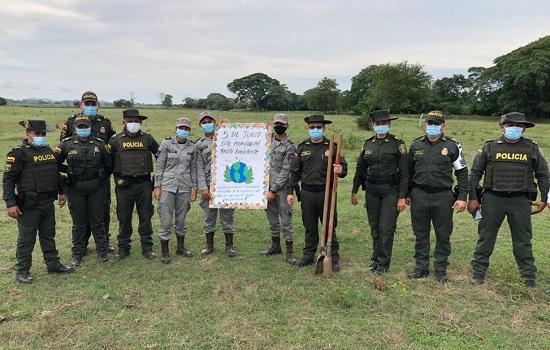 Se realizó una siembra de 300 árboles nativos, los cuales ayudarán a la purificación del aire.