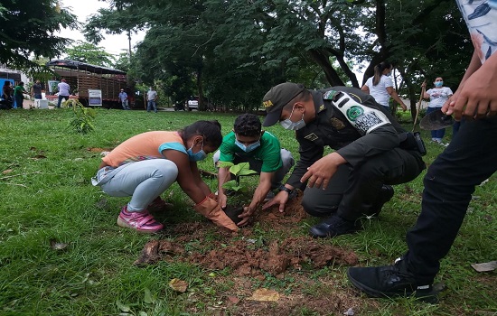 Se realizó una siembra de 300 árboles nativos, los cuales ayudarán a la purificación del aire.
