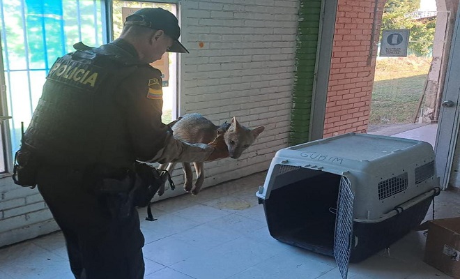 Policía Nacional de la mano con la fauna y flora de nuestra región