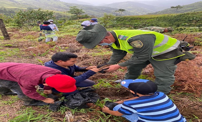 Policías y civiles sembrando árboles. 
