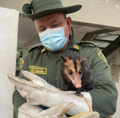 Salvaguardamos el medio ambiente durante Semana Santa en Nariño