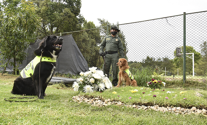 Despedimos a Poly, un héroe de cuatro patas2