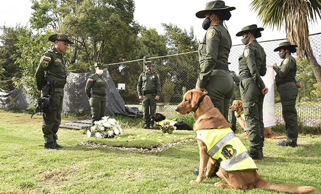 Despedimos a Poly, un héroe de cuatro patas3
