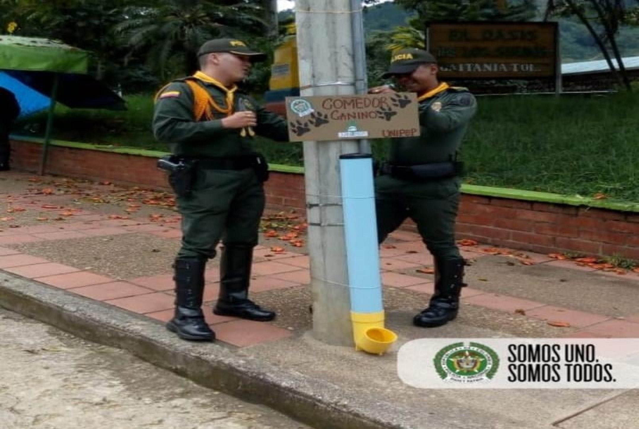 por_los_animales_de_la_calle