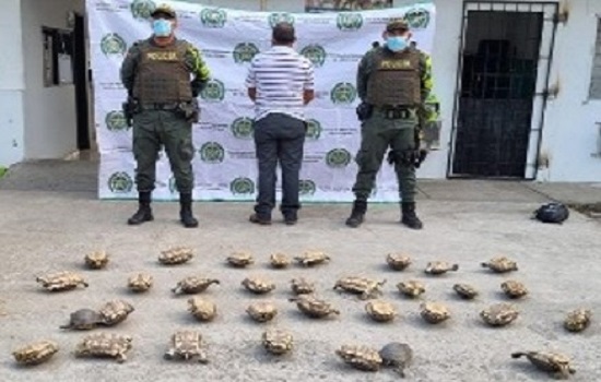 una persona capturada-policías custodiando-animales recuperados