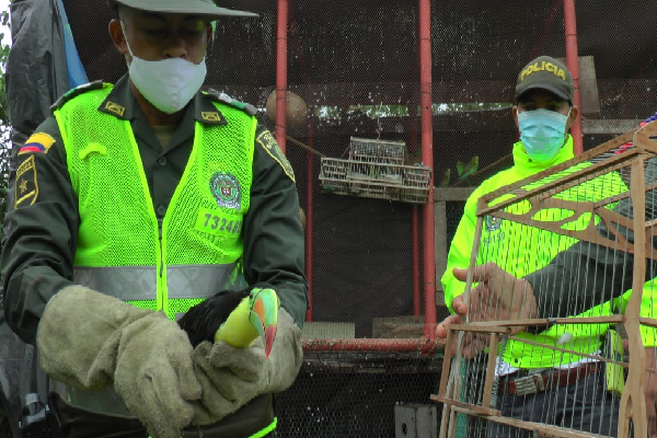 protección-ambiental