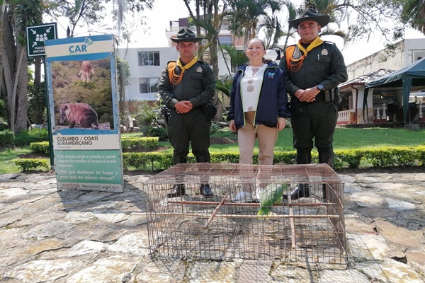 Policías junto a las autoridades y jaulas de especies cautivas