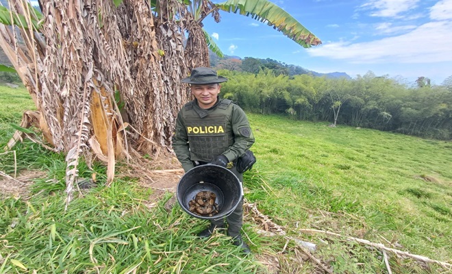 Policía rescatando serpiente