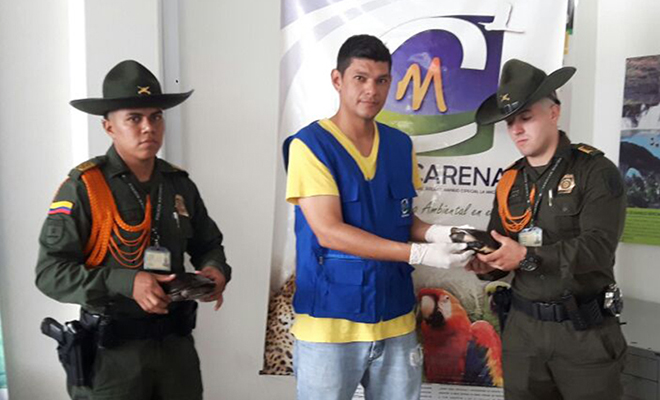 En-el-Meta-continuamos-liderando-actividades-de-protección-de-la-fauna silvestre