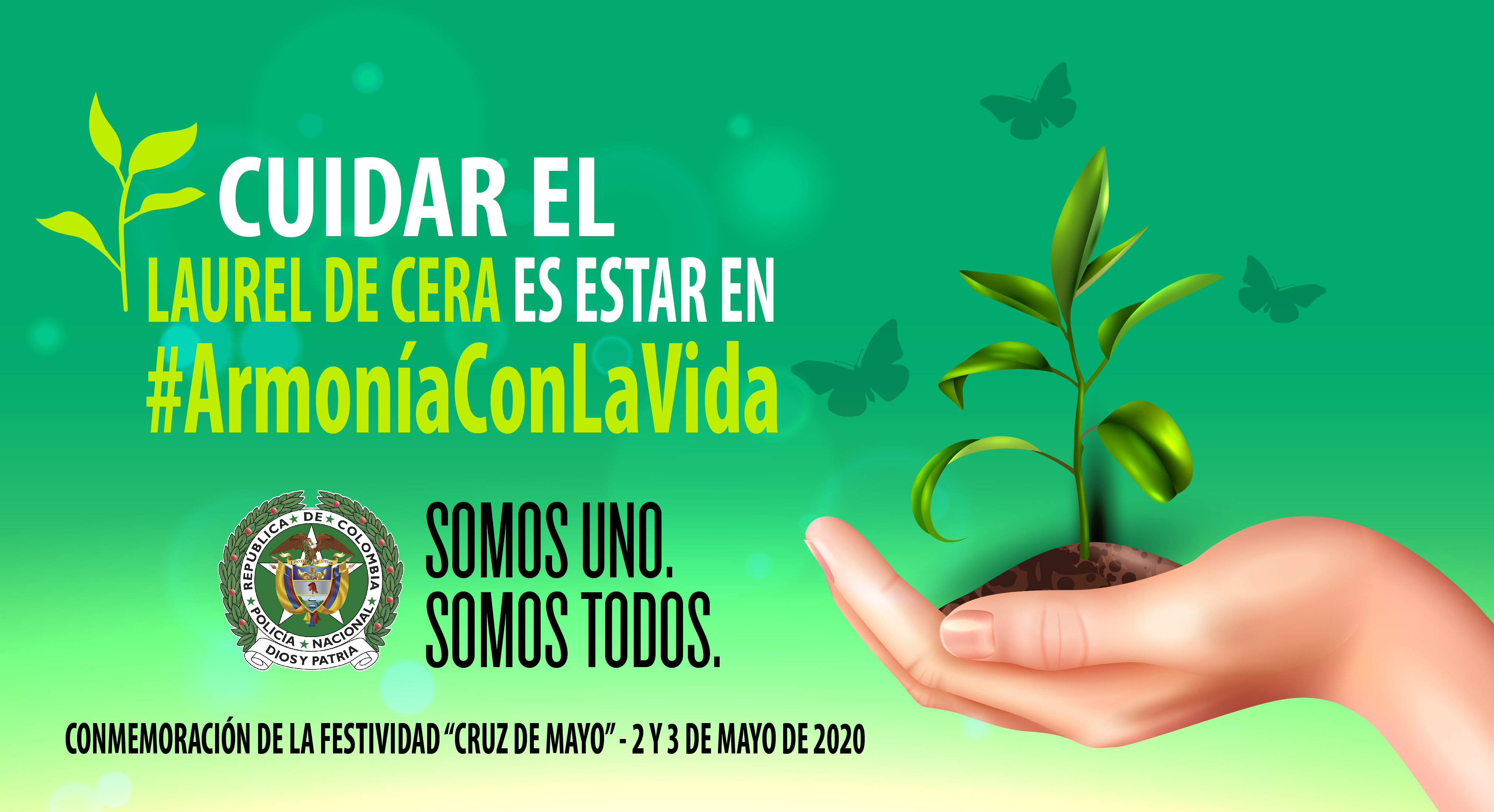 Protegemos el laurel de cera1