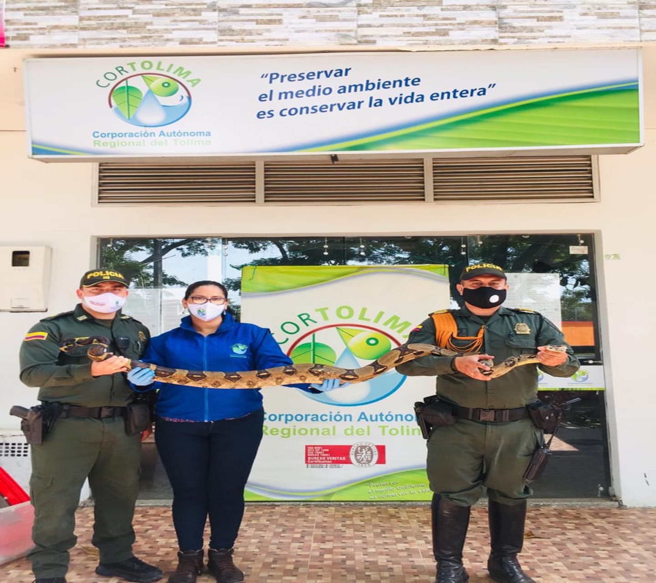    Nuestro Grupo de Carabineros en Tolima logran poner a salvo una boa constrictor