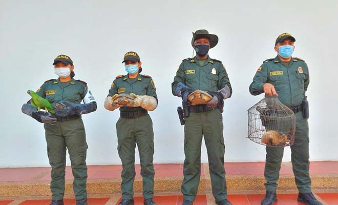 Reafirmamos nuestro compromiso con la protección de los animales.