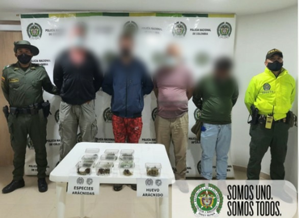 Recuperamos 9 especies de fauna silvestre en Nariño1