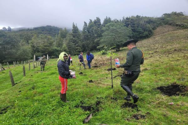 Reforestación_Cucaita_3