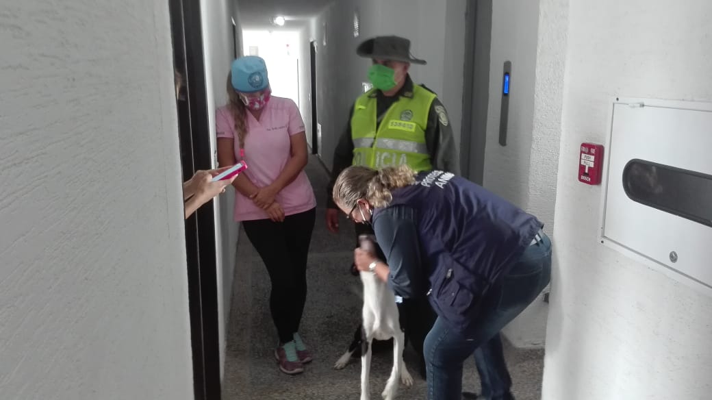 Rescatamos un canino víctima de maltrato 