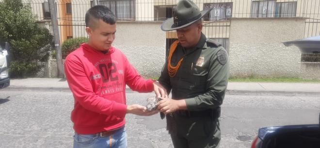 Rescatan especies protegidas 