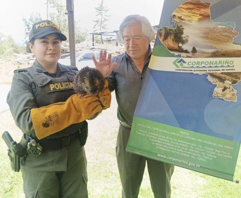 Promueven acciones de protección con la fauna 