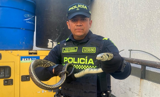 Seguimos trabajando por la protección de la fauna silvestre