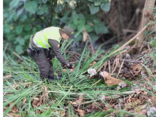 La Patrulla Canica es un grupo especial de la Policía Nacional, adscrito al Grupo de Carabineros, encargados de velar por el cuidado del medio ambiente y la protección de los animales, como seres sintientes.