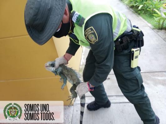 Compromiso ambiental