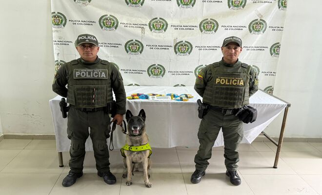 Dos polic&iacute;as y un canino Incautan vapeadores con extracto de cannabis