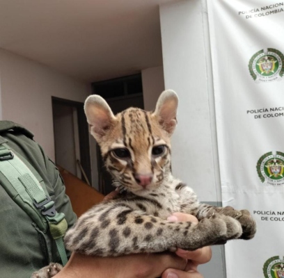 Semana Santa Por La Vida