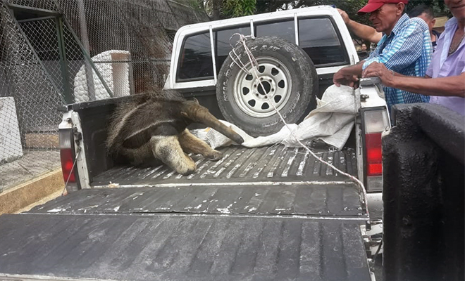 En-el-Meta-promovemos-la-prevención-de-los-crímenes-contra-el-medio ambiente