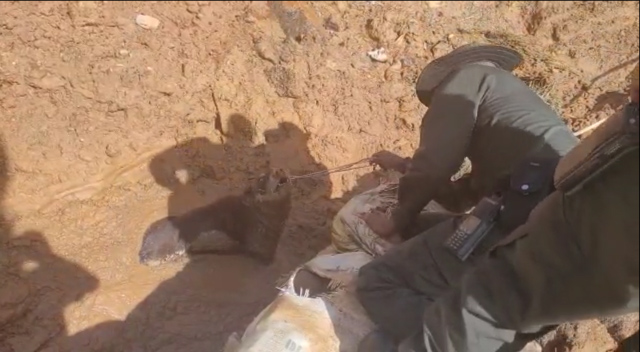 Hoy, varios uniformados de la policía adscritos a la estación Marinilla y el Grupo de Protección Ambiental y Ecológica