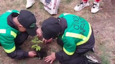 Policía Comunitaria lidera jornada  de reforestación