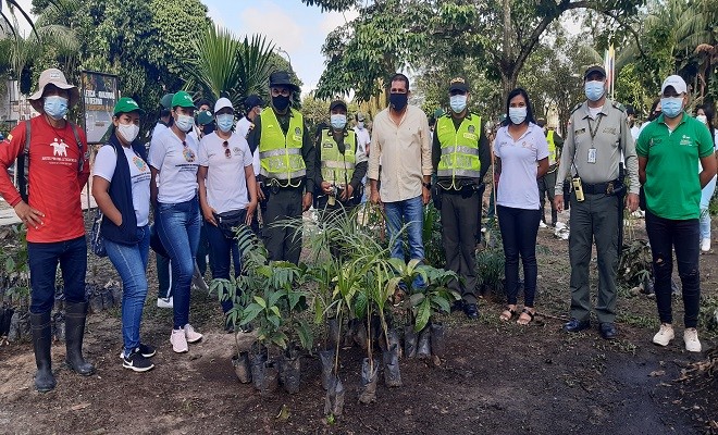 Sembramos árboles maderables