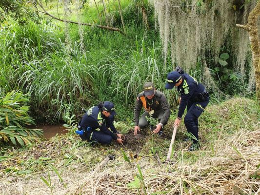 Sembratón de más de 80 especies de árboles 