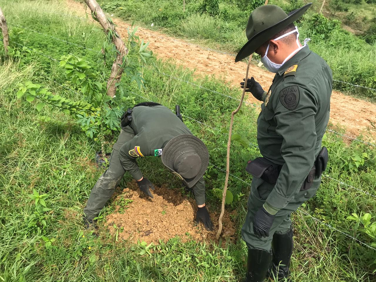 sembraton_por_la_paz_una_apuesta_por_la_unidad_y_el_medio_ambiente