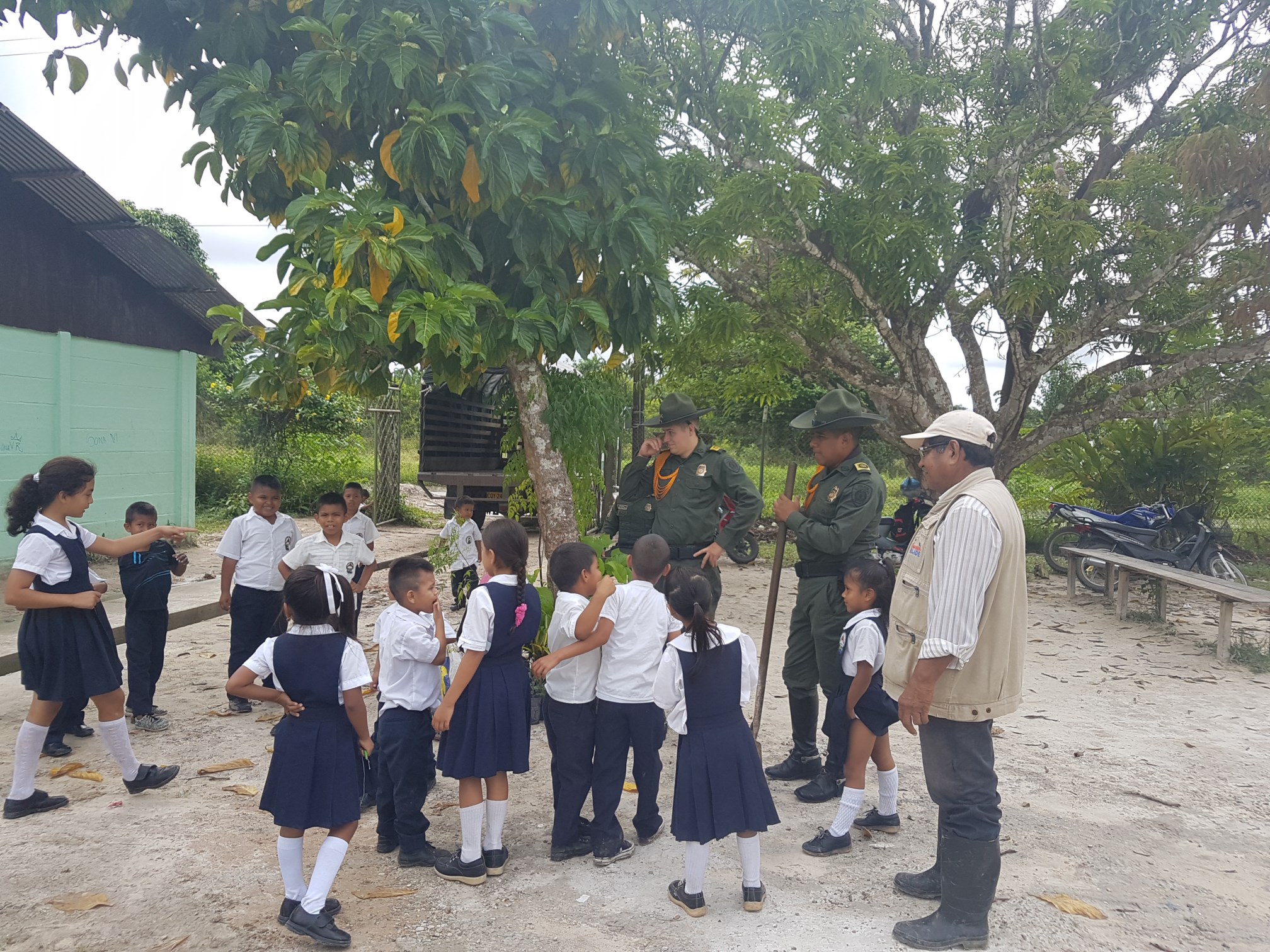  Reforestación entornos escolar