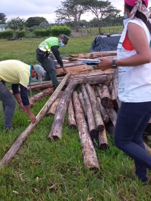 Todos-por-la-protección-y-cuidado-del-medio-ambiente-4