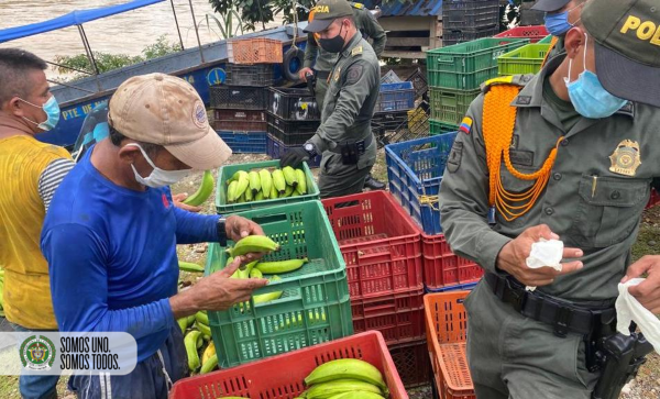 Los Carabineros apoyan el campo colombiano