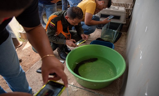 La Policía Nacional vela por bienestar de la fauna